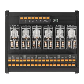 RT-G06DM 24VDC