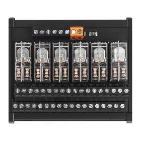 RT-G06D 24VDC